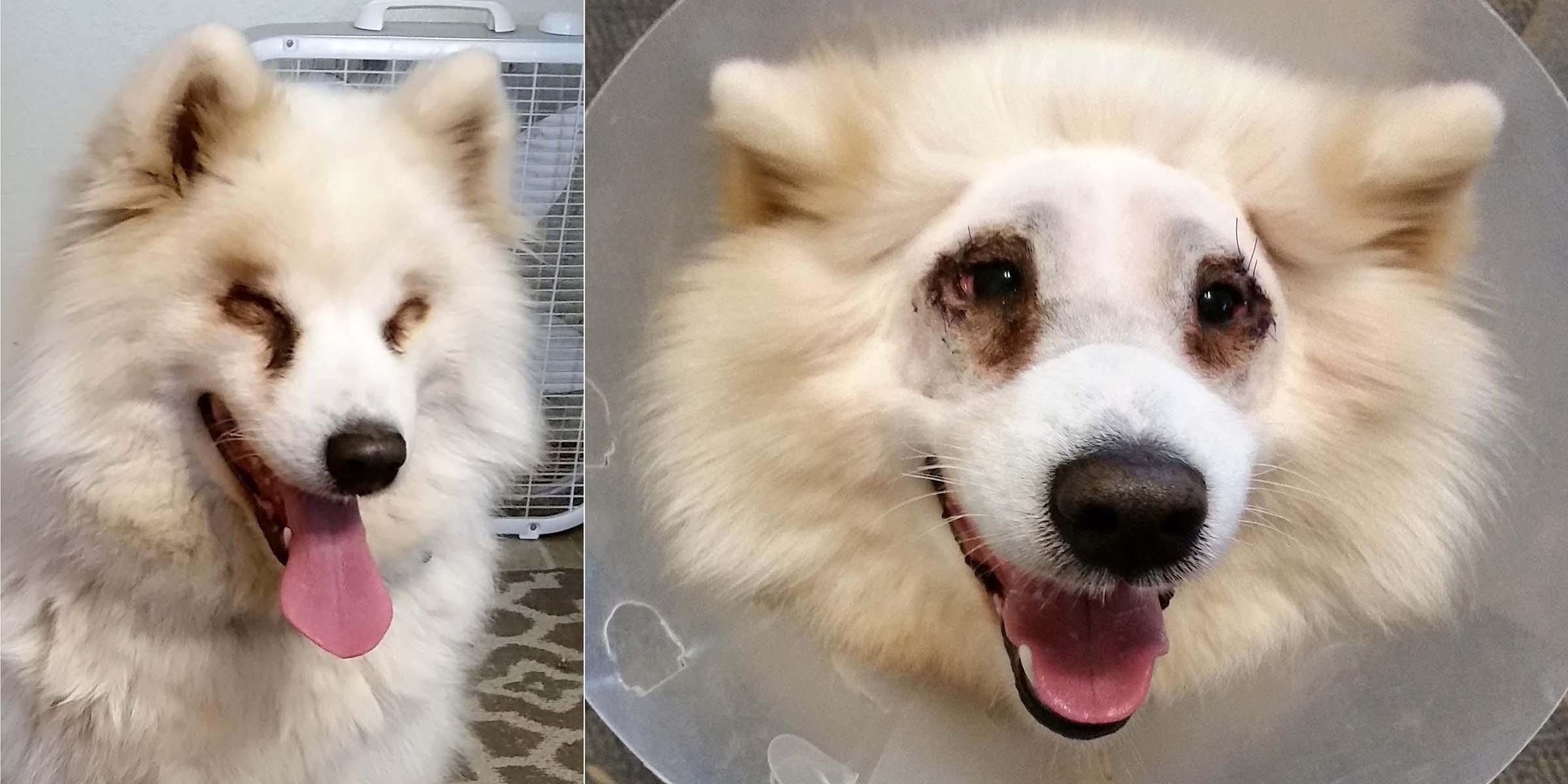 frosty-before-after-newsletter