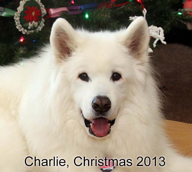 Charlie last year at Christmas