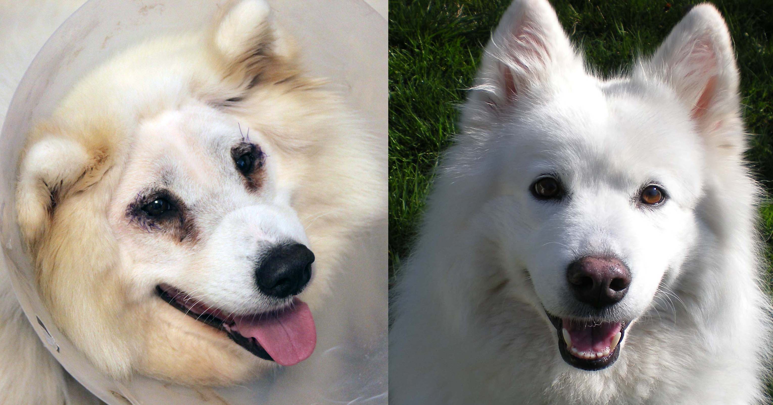 freya-before-after